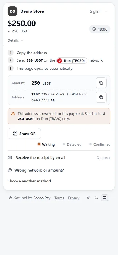 Payment page on a phone: paying 250 USDT on Tron